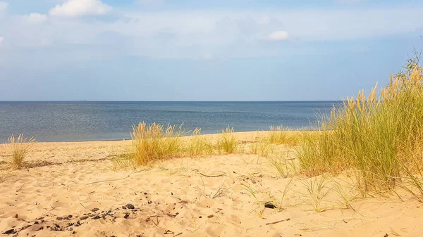 Panoramiczny Widok Piaszczystą Plażę Nad Morzem Bałtyckim Wyspie Sobieszewo Polska — Zdjęcie stockowe