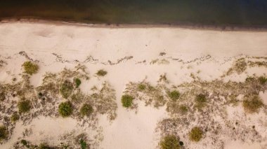 A top down drone shot of the sandy beach by the Baltic Sea on Sobieszewo island, Poland. The waves are gently rushing to the shore. The beach is overgrown with some bushes and grass. Waves meditation
