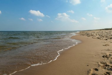 The coastal line of a sandy beach by the Baltic Sea on Sobieszewo island, Poland. The sea is gently waving. A bit of overcast. Solitude and serenity