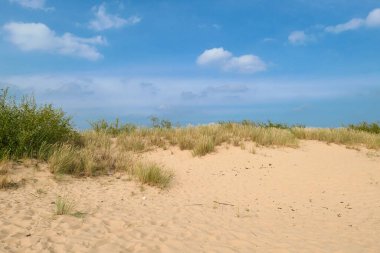 A panoramic view on the sandy beach by Baltic Sea on Sobieszewo island, Poland. The beach is scarcely overgrown with high grass. The sea is gently waving. A bit of overcast. Serenity and calmness