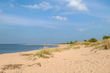 A panoramic view on the sandy beach by Baltic Sea on Sobieszewo island, Poland. The beach is scarcely overgrown with high grass. The sea is gently waving. A bit of overcast. Serenity and calmness