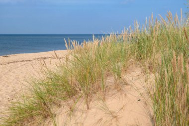 A panoramic view on the sandy beach by Baltic Sea on Sobieszewo island, Poland. The beach is scarcely overgrown with high grass. The sea is gently waving. A bit of overcast. Serenity and calmness