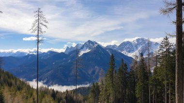 A panoramic view from the top of Alpine peak in Austria. There are high Alpine chains around, partially covered with snow. Dense forest on the slopes. Clear day. Fog in the valley. Serenity