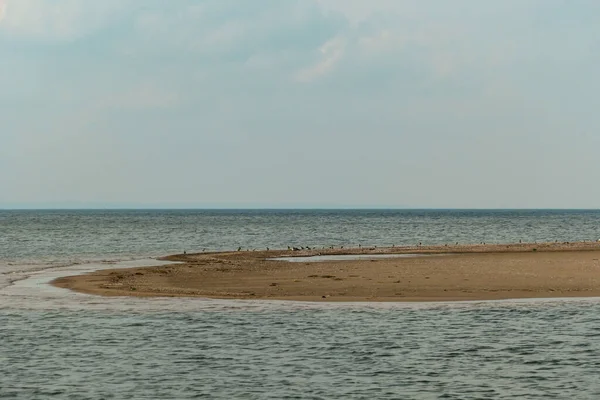 Linia Brzegowa Piaszczystej Plaży Nad Bałtykiem Wyspie Sobieszewo Polska Istnieje — Zdjęcie stockowe