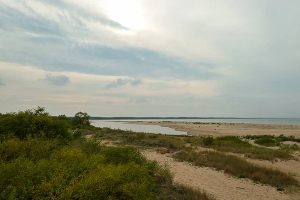 Coastal Line Sandy Beach Baltic Sea Sobieszewo Island Poland Overgrown — Zdjęcie stockowe