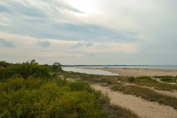 Coastal Line Sandy Beach Baltic Sea Sobieszewo Island Poland Overgrown — ストック写真