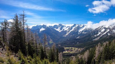 A panoramic view on Baeren Valley in Austrian Alps. The highest peaks in the chain are sonw-capped. Lush green pasture in front. A few trees on the slopes. Clear and sunny day. High mountain chains.