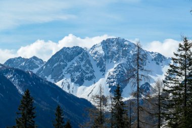 A close up view on the sonw-capped Alps in Slovenia. There are thick, white clouds behind the mountains. There are a few trees in the frame. Idyllic landscape. Cloudy, but sunny day. Calmness