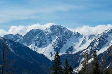 A close up view on the sonw-capped Alps in Slovenia. There are thick, white clouds behind the mountains. There are a few trees in the frame. Idyllic landscape. Cloudy, but sunny day. Calmness