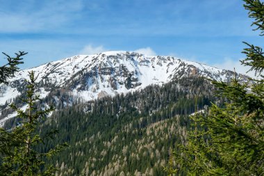 A panoramic view from the top of Alpine peak in Austria. The whole area is shrouded in thick clouds. A few peaks popping out from the clouds. High mountain chains in the back. Carpet from the clouds