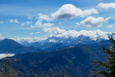 A panoramic view on Baeren Valley in Austrian Alps. The highest peaks in the chain are sonw-capped. Lush green pasture in front. A few trees on the slopes. Clear and sunny day. High mountain chains.