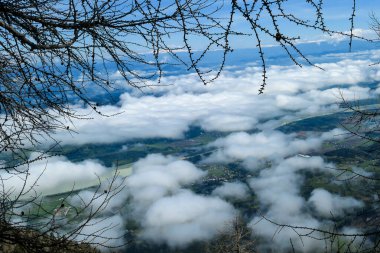 A panoramic view from the top of Alpine peak in Austria. The whole area is shrouded in thick clouds. A few villages visible underneath the clouds. A few tree branches. Carpet from the clouds