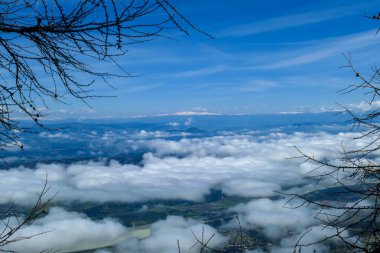 A panoramic view from the top of Alpine peak in Austria. The whole area is shrouded in thick clouds. A few villages visible underneath the clouds. A few tree branches. Carpet from the clouds