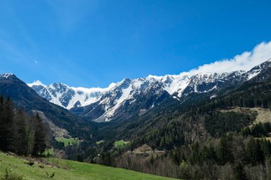 A panoramic view on Baeren Valley in Austrian Alps. The highest peaks in the chain are sonw-capped. Lush green pasture in front. A few trees on the slopes. Clear and sunny day. High mountain chains.
