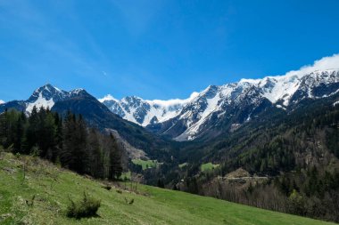 A panoramic view on Baeren Valley in Austrian Alps. The highest peaks in the chain are sonw-capped. Lush green pasture in front. A few trees on the slopes. Clear and sunny day. High mountain chains.