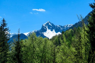 A panoramic view on Baeren Valley in Austrian Alps. The highest peaks in the chain are snow-capped. Lush green pasture in front. A few trees on the slopes. Clear and sunny day. High mountain chains.