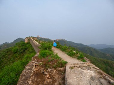 A woman with hiking backpack walking around a unrenewed Gubeikou part of Great Wall of China. The wall is spreading on tops of mountains. Dense forest around it. World wonder. Tradition and history