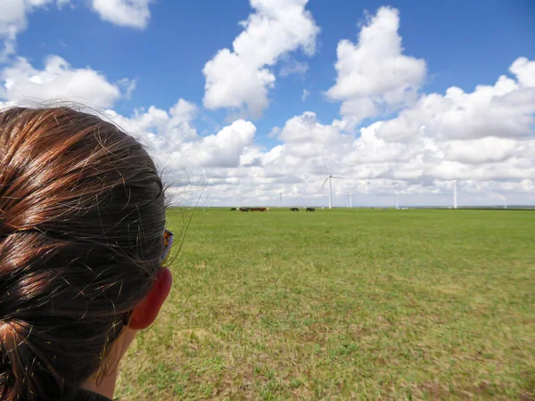 A woman with braided hair watching a heard of horses grazing under wind turbines build on a vast pasture in Xilinhot, Inner Mongolia. Natural resources. Endless grassland. Blue sky with white clouds