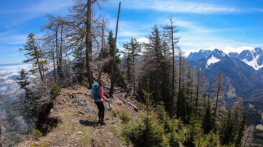 A woman with hiking backpack standing at the steep mountain rim with the view on Baeren Valley in Austrian Alps. The highest peaks in the chain are sonw-capped. A few trees on the slopes. Sunny day.