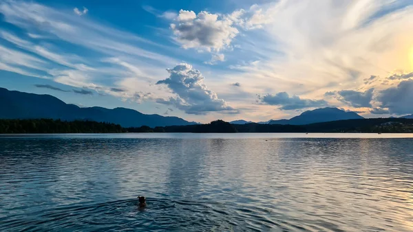 A woman swimming in the Lake Faak in Austria. The lake is surrounded by high Alpine peaks. The sun in slowly setting behind the mountains. Lots of clouds. Calm surface reflects the sunbeams. Happiness