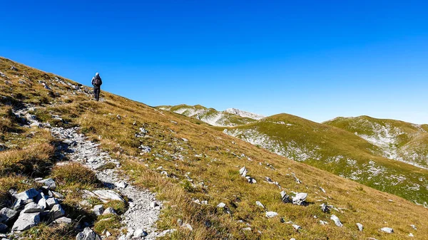 Man Hiking Backpack Hiking Narrow Pathway Top Hohe Weichsel Austria — Stock fotografie