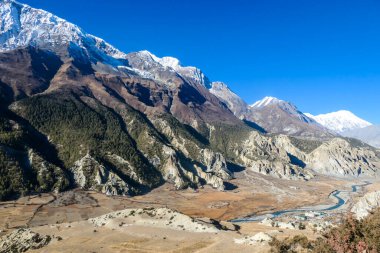 A panoramic view on Himalayan valley, along Annapurna Circuit Trek, Nepal. Clear sky above the peak. There is a river at the bottom on the valley, small trees on the shores. Snow caped mountain peaks