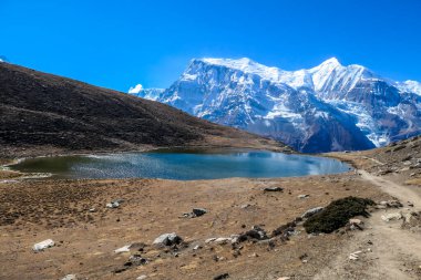Ice lake, as part of the Annapurna Circuit Trek detour, Himalayas, Nepal. Annapurna chain in the back, covered with snow. Clear weather, dry grass, snowy peaks. Freedom, solitude, chill and relaxation