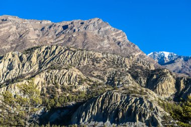 A view on Himalayan valley along Annapurna Circuit Trek, Nepal. There is a dense forest in front. High, snow caped mountains' peaks catching the sunbeams. Serenity and calmness. Barren slopes