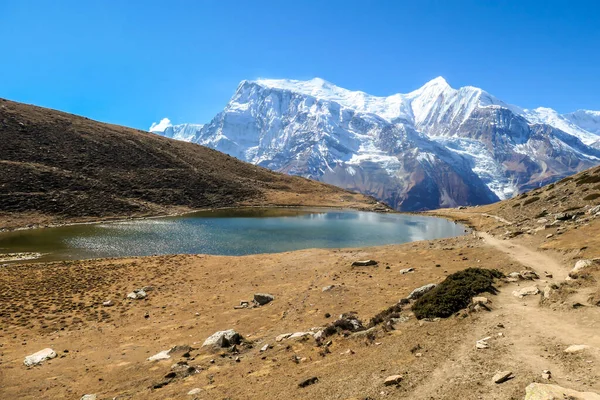 Ice lake, as part of the Annapurna Circuit Trek detour, Himalayas, Nepal. Annapurna chain in the back, covered with snow. Clear weather, dry grass, snowy peaks. Freedom, solitude, chill and relaxation