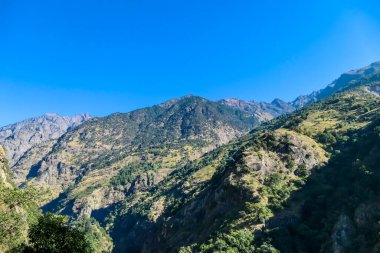 View on Himalayas along Annapurna Circuit Trek, Nepal. There is a dense forest in front. High Himalayan peaks catching the sunbeams. Serenity and calmness.High mountain landscape. Endless horizon.
