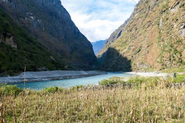 A strong torrent flowing in Himalayan valley, along Annapurna Circuit Trek, Nepal. Lower parts of the slopes are overgrown with green plants, upper part stony and barren. A small dame on the side.