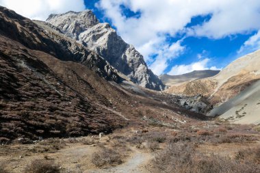 Harsh and golden colored slopes in Manang Valley, Annapurna Circus Trek, Himalayas, Nepal, with the view on Annapurna Chain and Gangapurna. Dry and desolated landscape. High snow capped mountain peaks