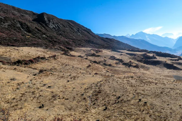 Övergiven Ruin Fästning Manang Valley Annapurna Circuit Trek Nepal Det — Stockfoto