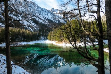 An idyllic view on Alpine Green Lake in Austria, seen from a small hill around the lake, through the trees. Powder snow covering the mountains and ground. Emerald color of water. Winter Wonderland