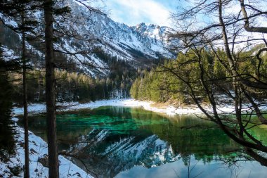An idyllic view on Alpine Green Lake in Austria, seen from a small hill around the lake, through the trees. Powder snow covering the mountains and ground. Emerald color of water. Winter Wonderland