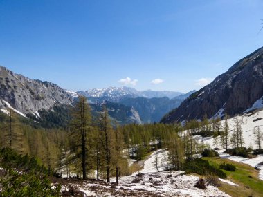 A panoramic view on snow covered mountain slopes in Hochturm region, Austrian Alps. There are endless mountain chains in the back. Few trees on the slopes. Sunny and bright day. Late winter.