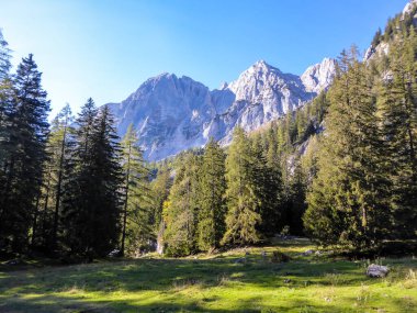 A panoramic view on a massive, stony mountains in Hochzinoedl region, Austrian Alps. There are endless mountains chains in the back. The slopes are overgrown with moss and grass. Sunny and bright day.