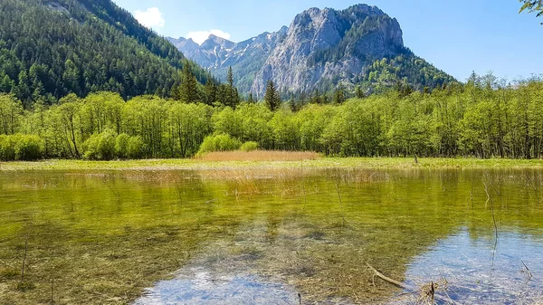 A crystal clear lake in Hochturm region, Austrian Alps. There are massive mountains in the back. The shore of the lake is overgrown with bushes and high grass. Soft reflections in the lake\'s surface