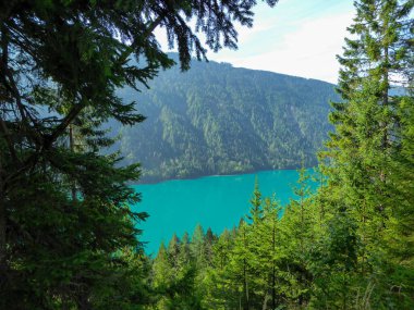 A distant view on Weissensee lake in Austria, seen from between the tree branches. The lake has a strong turquoise color and is surrounded by high mountains from each side. Natural beauty