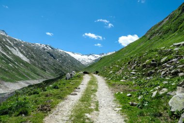 A heard of cows lying in the middle of a gravelled road in high Alpine region of Maltal in Austria. There is a huge glacier in the back. Clear and sunny day. Animals in natural habitat