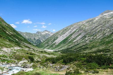 Panoramic view on huge glacier in Maltal region in Austrian Alps. The valley below it flourishing with green and freshness., small torrent in the middle. Summer in the mountains. Serenity and solitude