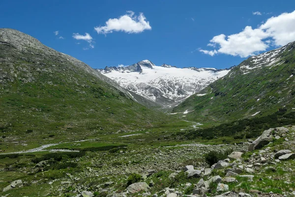 Panoramic View Huge Glacier Maltal Region Austrian Alps Valley Flourishing — 스톡 사진