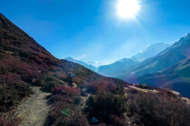 A woman trekking along Annapurna Circus in Himalayas, Nepal, with the view on Annapurna Chain. Dry and desolated landscape. High, snow capped mountain peaks. Happiness and freedom
