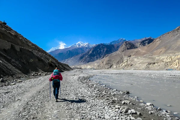 A woman hiking through dry, gravelled path in Himalayan valley, located in Mustang region, Annapurna Circuit Trek in Nepal. She carries a heavy backpack. Harsh landscape. Snow capped mountains
