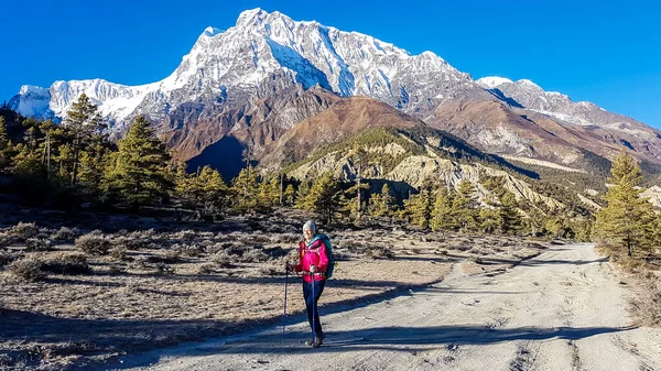 A woman hiking in Manang valley from Humde, Nepal. High Himalayan ranges around. Dense forest on the side of the pathway. Snow capped peaks of Annapurna Chain in the back. Freedom and adventure
