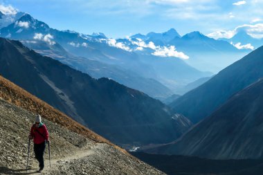 A woman in pink jacket walking on a sunny pathway leading to dark, shadowy, snow capped Himalayan peaks along Annapurna Circuit, leading to Tilicho Lake. Barren and sharp slopes. New day beginning