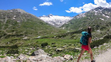 A woman wearing shorts and hiking backpack hiking in Austrian Alps, along a gravelled road. High mountains around. There is a glacier in the back. Adventure and discovery. Blossoming Alpine meadow