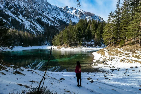 Uma Mulher Caminhar Até Margem Lago Verde Nos Alpes Austríacos — Fotografia de Stock