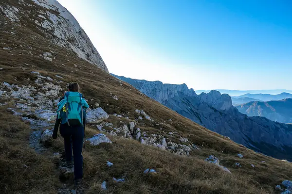Turistka Oblasti Hochschwab Rakouských Alpách Nekonečné Horské Řetězy Rostoucí Flóra — Stock fotografie