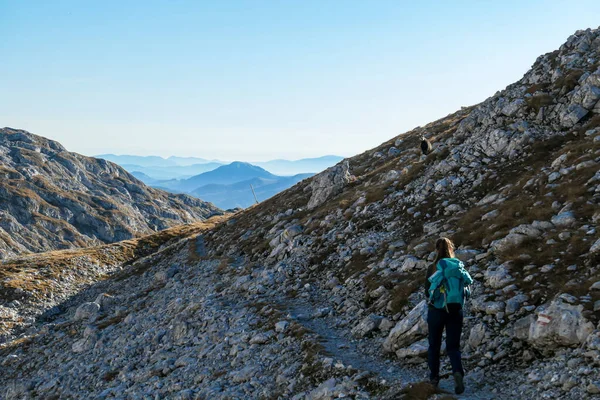 Žena Horské Koze Oblasti Hochschwab Rakouských Alpách Neočekávaná Schůzka Jsou — Stock fotografie